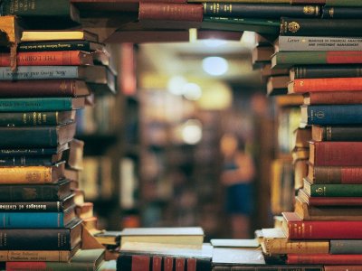 Bədii tərcümədə keyfiyyət problemi -&nbsp;səbəb təcrübəsizlikdir, yoxsa redaktə zəifliyi?