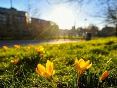 Martda hava necə olacaq?