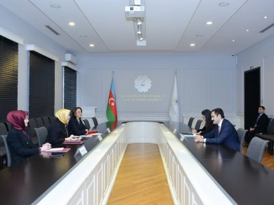Həsən Həsənli Türkiyənin milli təhsil nazirinin müavini ilə görüşüb