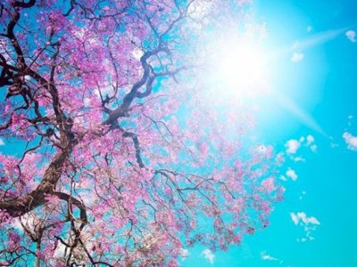 Bu gün hava necə olacaq?