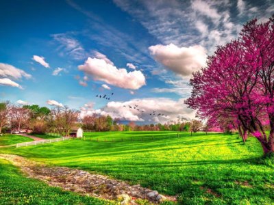 Bu günün hava PROQNOZU