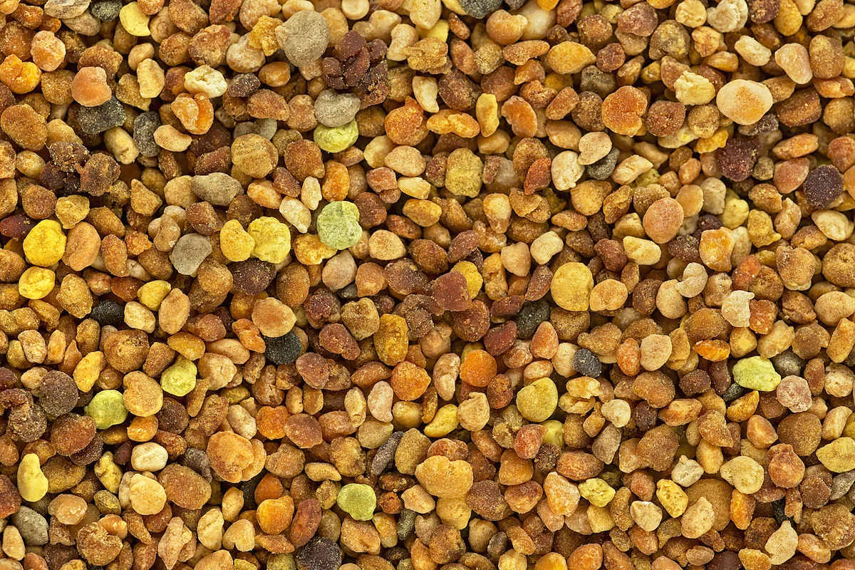 Alimlərdən maraqlı kəşf