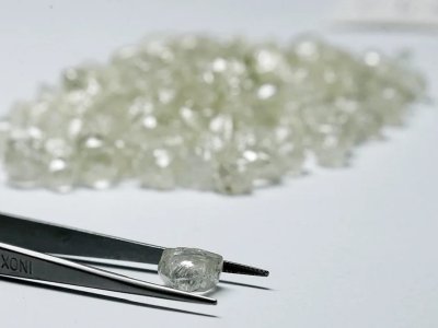 Brilyant sevgisi şimpanzelərdən miras qalıb- Araşdırma