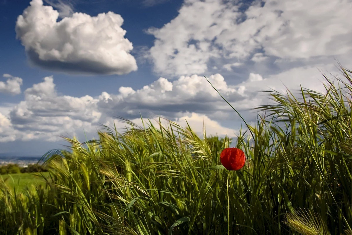 Sabah hava necə olacaq?