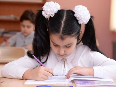 Deputat: Dərsliklər yenilənməli, şagirdlərin dil bacarıqları ölçülməlidir
