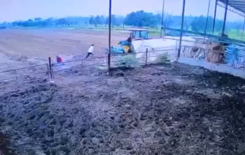 11 yaşlı uşaq kənd təsərrüfatı qəzasında həyatını itirdi