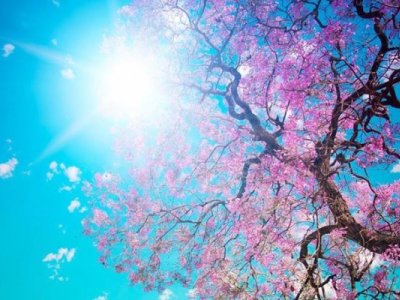 23 mart- Ümumdünya meteorologiya günüdür