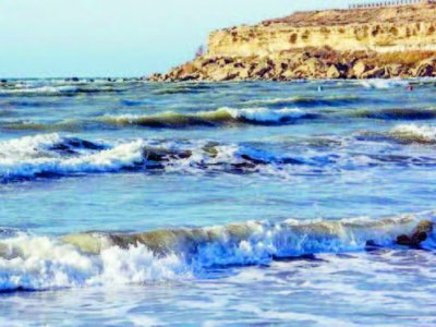 Dənizin dərinliklərində 110-dan çox yeni növ aşkar edildi