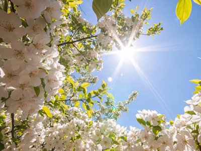 Sabah Bakıda 17 dərəcə isti olacaq - PROQNOZ
