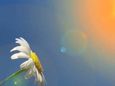 Sabah 21 dərəcə isti olacaq