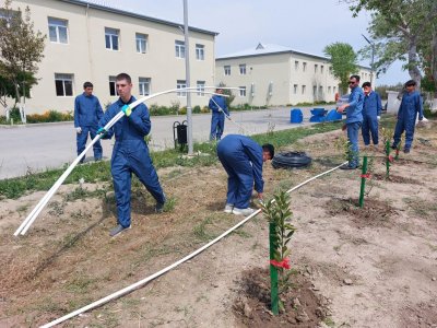 Neftçala Peşə Məktəbində müasir tədris mühiti