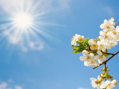 Sabah 22 dərəcə isti olacaq