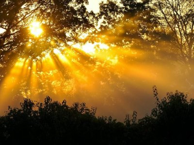 Bahar günəşi dərinizə ciddi zərər verə bilər