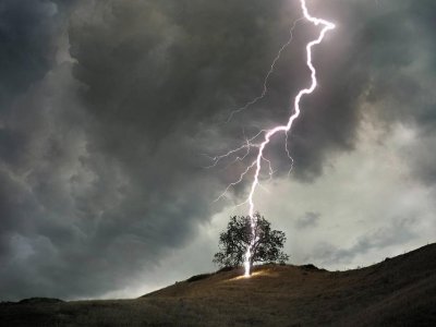Ağaca ildırım düşüb: 2 uşaq ölüb, 1-i ağır yaralanıb