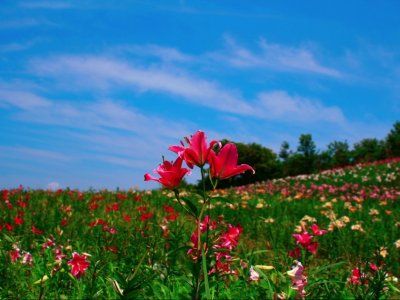 Bu günün hava PROQNOZU