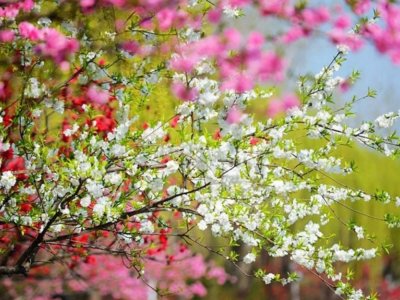 18 dərəcə isti...- GÜNÜN HAVASI