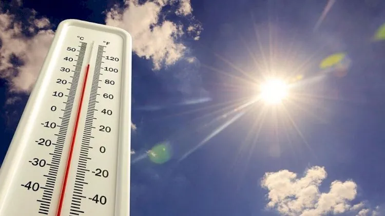 İsti hava nəsilləri dəyişdirə bilər