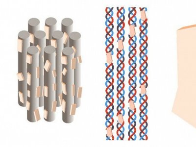 Tədqiqatçılar&nbsp;sümük bərpası üçün yeni material hazırlayıb