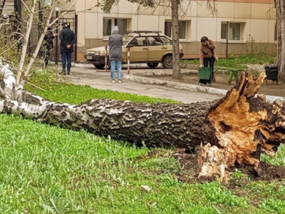 Rusiyada əlverişsiz hava şəraitinə görə 1 uşaq ölüb, 5-i xəsarət alıb