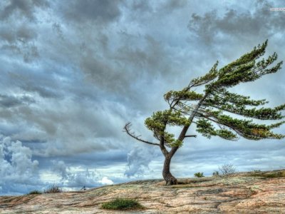Yağıntılı və küləkli hava davam edir
