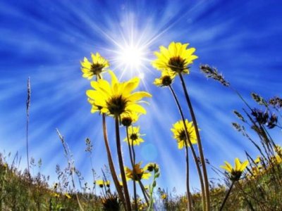 May ayında 35 dərəcə isti olacaq