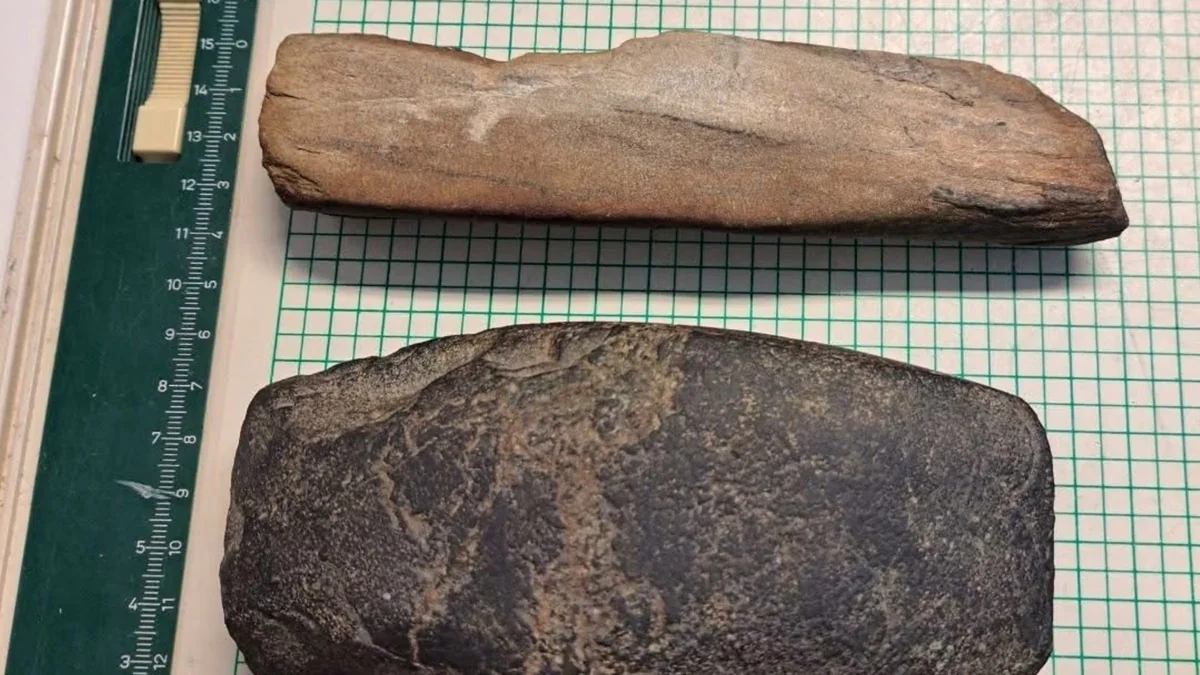 Beş yaşlı uşaqların tapdığı daşlar qədim artefakt çıxdı