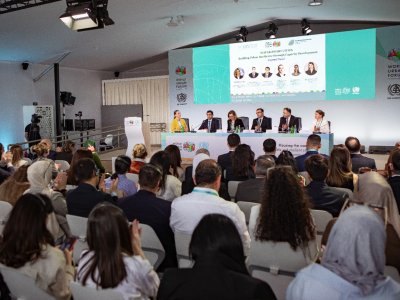 Rüfət Əzizov&nbsp;Ümumdünya Şəhərsalma Forumunda dayanıqlı inkişaf mövzusunda paneldə çıxış edib
