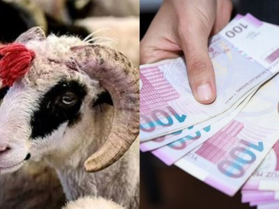 Müəllimlər bayramda nə qədər pul mükafatı alacaq? - məbləğlər AÇIQLANDI