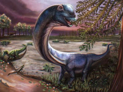 Taylandda nəhəng dinozavr skeleti tapıldı