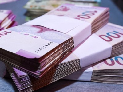 Bağçaların&nbsp;tikintisi üçün 20 milyon manat vəsait ayrıldı