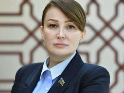 Sabiq deputat&nbsp;tələbə oldu