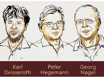 Fiziologiya və ya tibb üzrə Nobel laureatları açıqlanıb