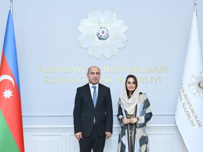 Nazir Rəqəmsal Əməkdaşlıq Təşkilatının Baş katibi ilə görüşüb