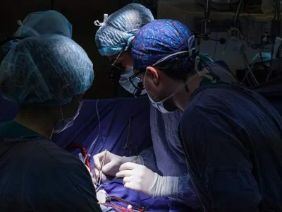 Ürək köçürülməsi insanın xarakterini dəyişir? -&nbsp;Alimdən açıqlama
