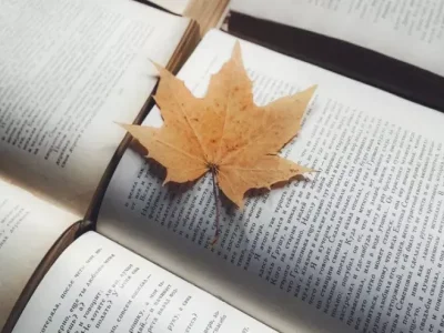 Kitab oxuyarkən&nbsp;buraxdığımız səhv &ndash; Alimlər&nbsp;xəbərdarlıq edir
