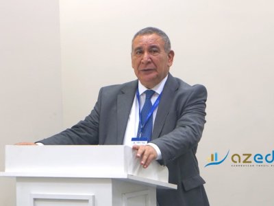 Rəşad Məcid Leyla Camalzadənin ilk kitabını belə dəyərləndirdi