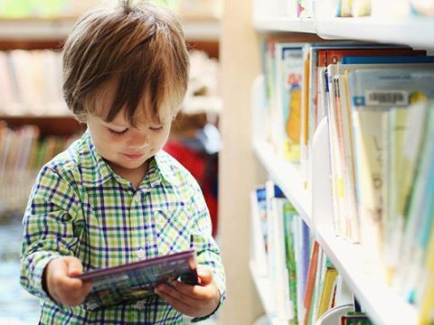 Şagirdlər tətildə hansı kitabları oxumalıdır? – Tanınmışların tövsiyələri