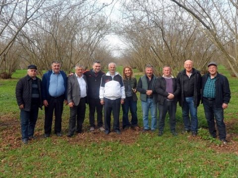 Almanlar Azərbaycanda ekoloji təmiz layihə həyata keçirmək istəyir