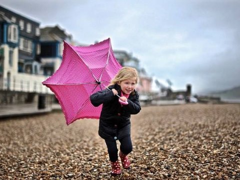 “Davamiyyət zəifləyib, amma yenə dərs keçirik” – “Küləklə sovrulanlar”
