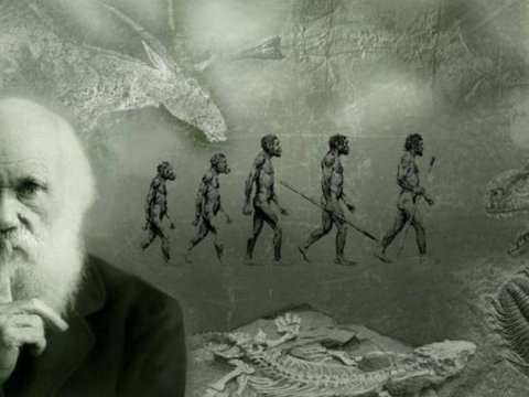 Orta məktəblərdə təkamül nəzəriyyəsi dərslərinə ehtiyac varmı? - Ekspert rəyi