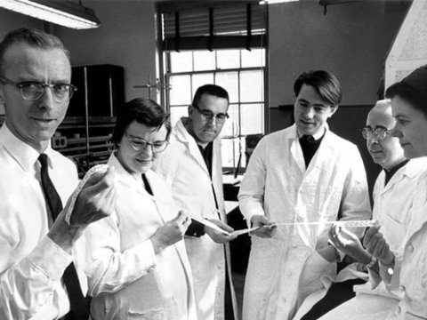 Alimlərimiz dünyada niyə tanınmır? – Yaxşı alimlər uzaqlaşdırılıb, dil bilmirlər, stimul yoxdur...