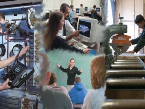 “Bu qanunun tətbiqinə xeyli vəsait lazımdı” - Yeni qanun acınacaqlı vəziyyəti dəyişə biləcəkmi?