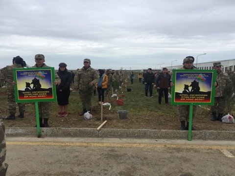 Aprel zəfəri: ötən hər gün üçün bir ağac əkildi - FOTOLAR