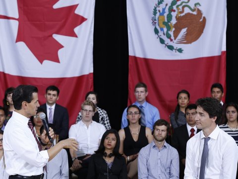 Baş nazirlərin ixtisasları - onlardan biri hələ də təhsilini davam etdirir