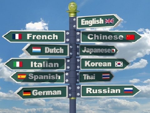 Xarici dili hansı yaşda mükəmməl öyrənə bilərsiniz? - Elmi araşdırma