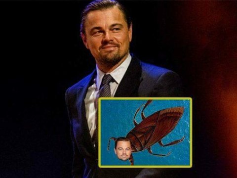 Alimlər su böcəyinə məşhur aktyorun adını verdilər - FOTO