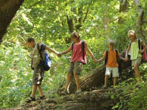 Dərslərə “yox” deyən, şagirdləri bəşəri fəlakətlər üçün hazırlayan məktəb - FOTO  