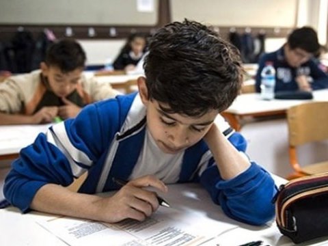 Məktəblərdə iki yeni dil daha öyrədiləcək