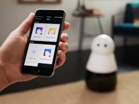 VI sinif şagirdi 20 ölkədən 400 layihə arasında birinci oldu