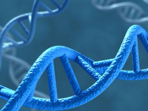 Biologiya üzrə VAKANT YERLƏR - SİYAHI